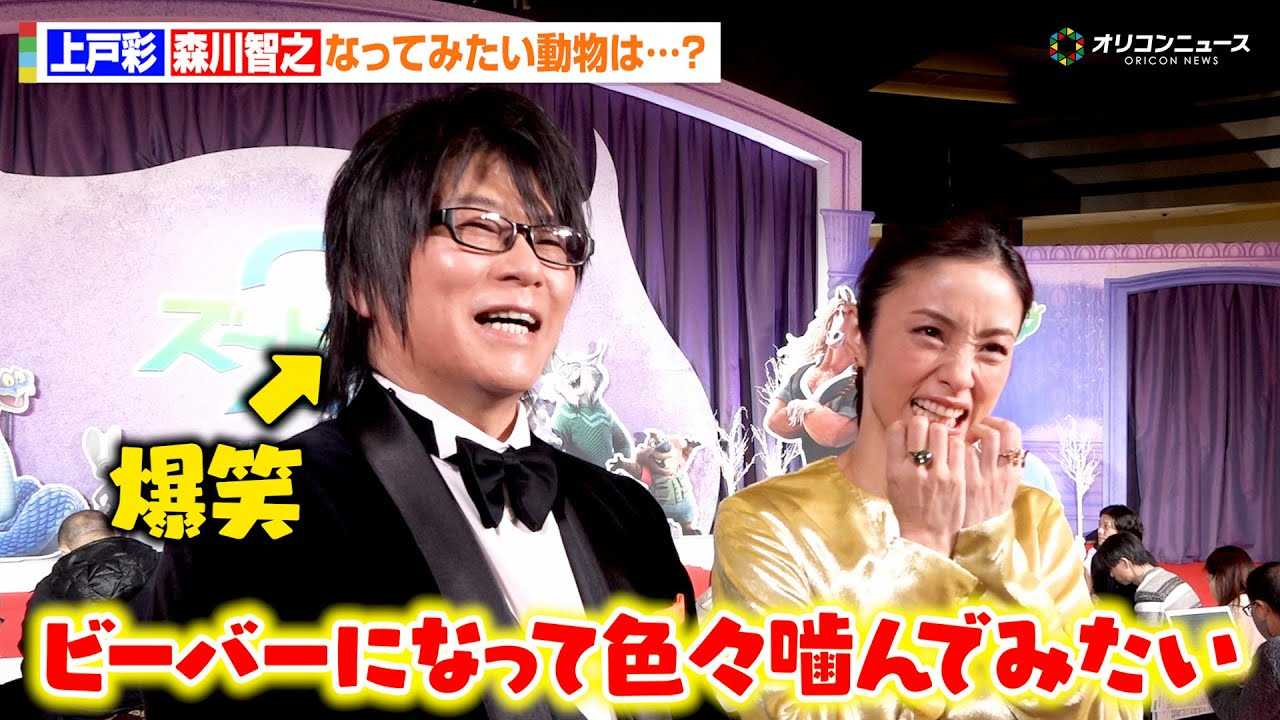 ��ˍ�&�X��q�V�A���ۂɂȂ��Ă݂��������̓r�[�o�[�H�L���[�g�ȗ��R�����@�f��w�Y�[�g�s�A�Q�x �O���