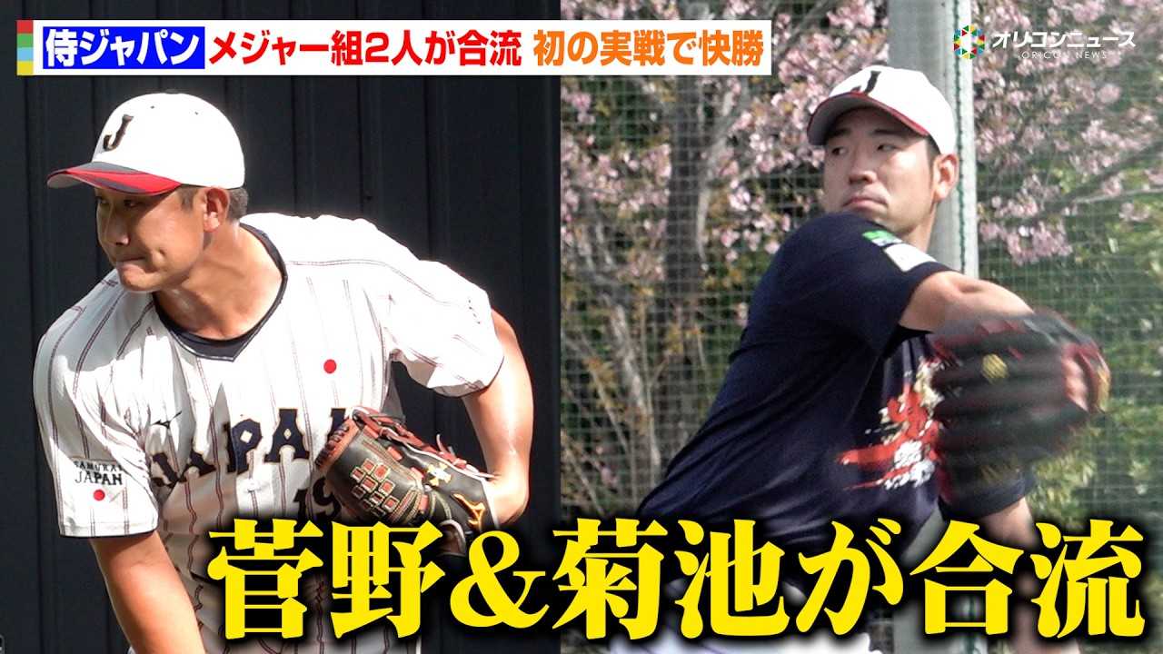 �y���h7���ځz���W���p���ɐ���q�V&�e�r�Y��������!���̎���ł͍�_�E�����P����X���đ���̊���Ń\�t�g�o���N�ɉ���