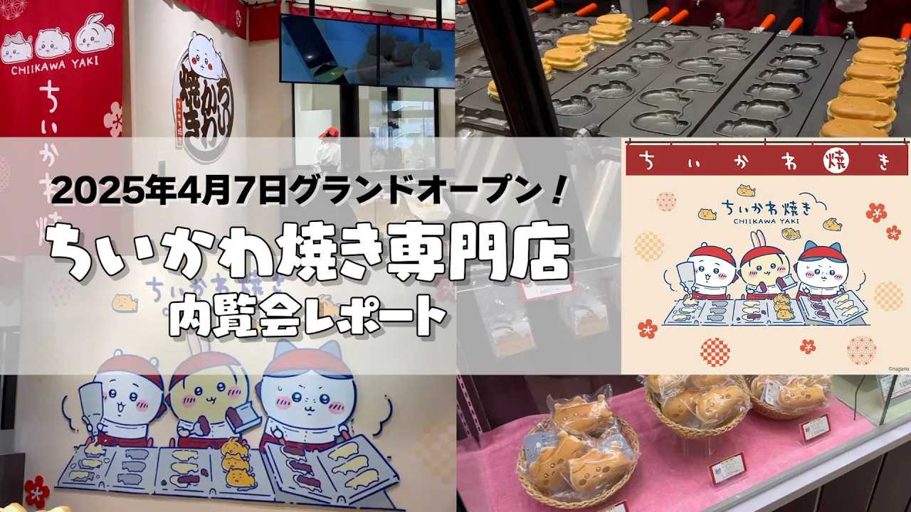 �y��������Ă��z�������킽�����a�X�C�[�c�ɁI�ӂ�ӂ�̐��n�ɂ����N���[���������Ղ苲�܂����g��������Ă��h���X���I�[�v��