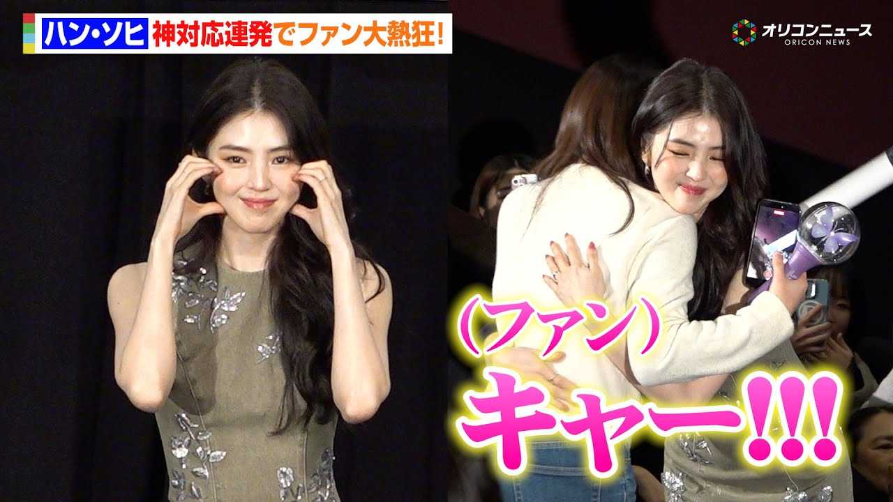 �y�m�[�J�b�g�z�n���E�\�q�A�_�Ή��A���Ńt�@����M��!����������~�j�X�J�p�œ��{�~��! �w�f��uPROJECT Y�v�t�@���~�[�e�B���O�t���W���p���v���~�A�x