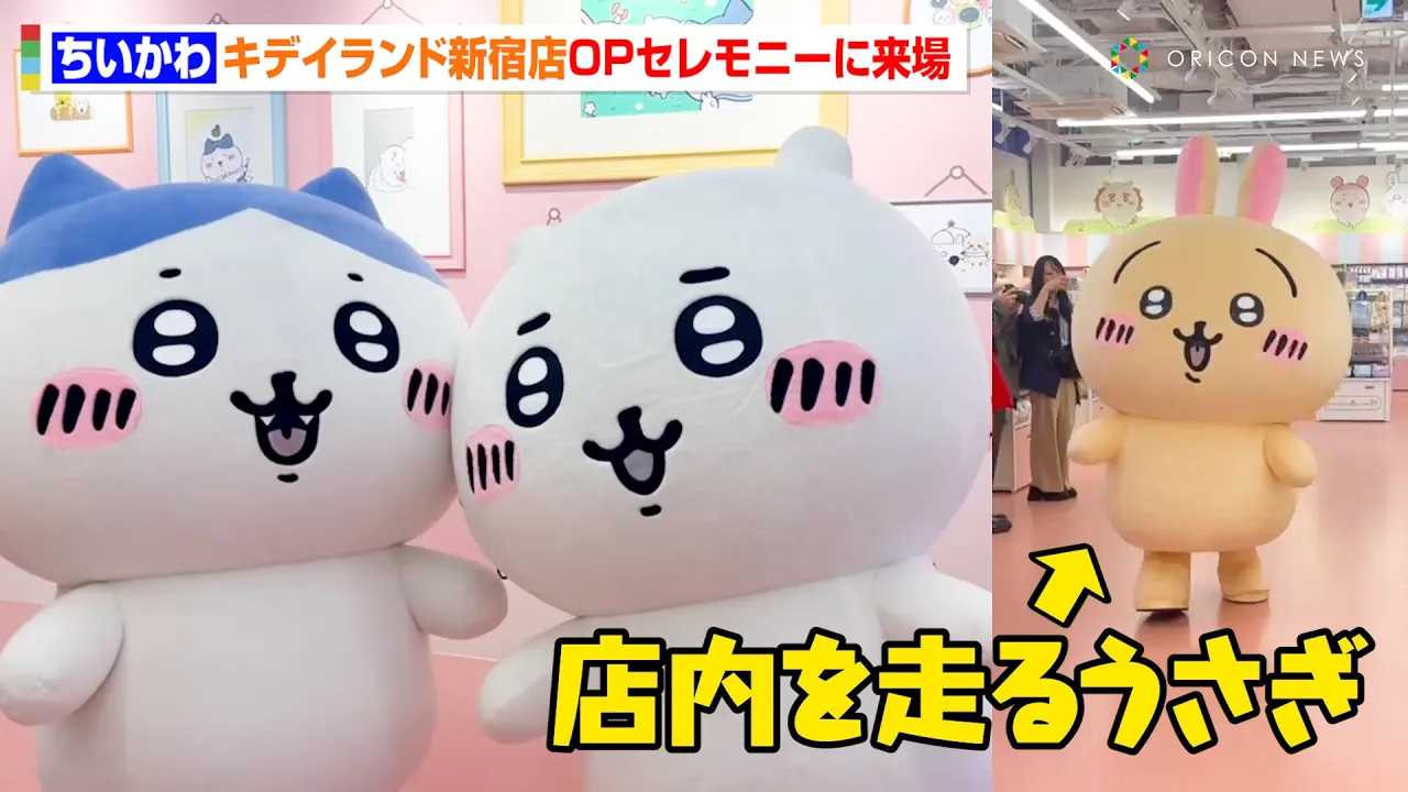 �������큕�n�`���������������u�L�f�B�����h�V�h�X�v�I�[�v�j���O�Z�����j�[�ɗ���I�����ʊ���ɂ�����