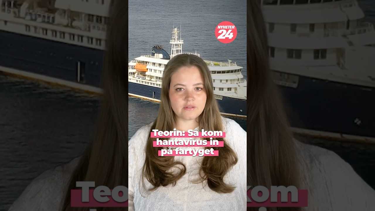 Teorin: Så kom hantavirus in på kryssningsfartyget Hondius