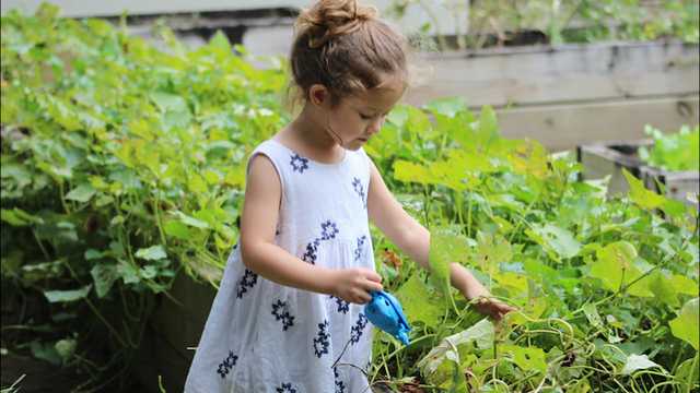 Så odlar du tillsammans med barnen